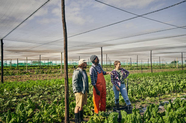 Shot of a team of young people working together working on a farm